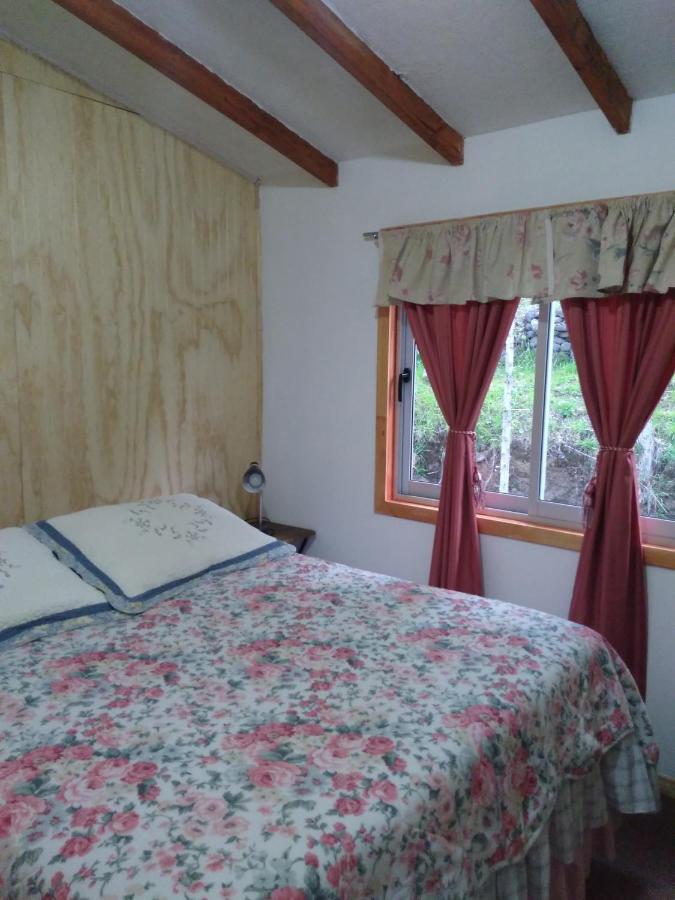 Flor/Victoria Bed & Breakfast บียารีกา ภายนอก รูปภาพ